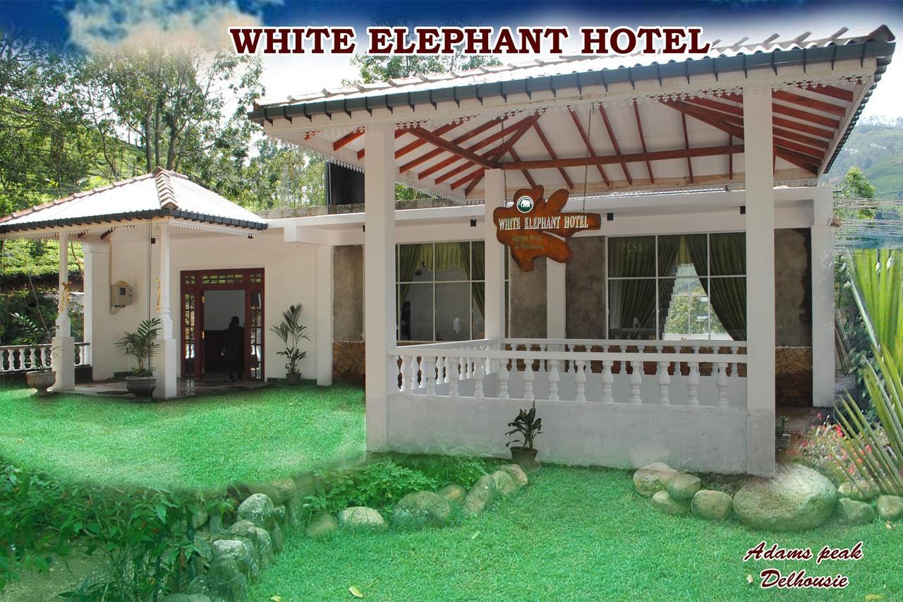 White Elephant Hotel Maskeliya エクステリア 写真